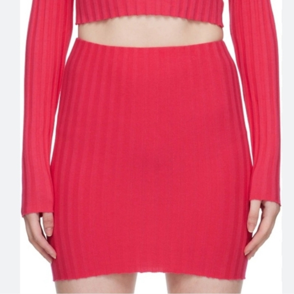 Cotton Citizen Capri Red/Pink Ribbed Mini Form Fitted Skirt for Any Occasion - Picture 6 of 10